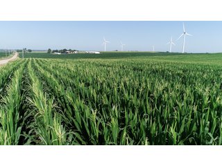 Bureau County, Illinois farmland - LAND AND WIND RIGHTS AUCTION - 337+/- ACRES IN 4 TRACTS IN BUREAU COUNTY, ILLINOIS